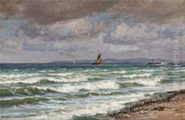 A Coastal View With Migratory Birds In The Horizon - view 1
