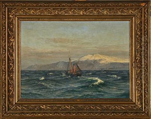Coastal Scene, Island - view 1