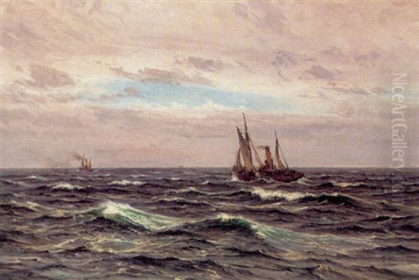 To Dampskibe Pa Havet - view 1
