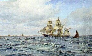 Marine Med Sejlskibet "antarctic" I Rum So