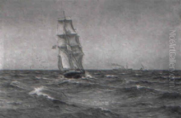 Marine Med Skibe Pa Havet - view 1