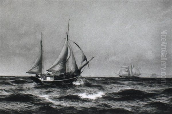Marine Med Skibe Ud For Kullen - view 1
