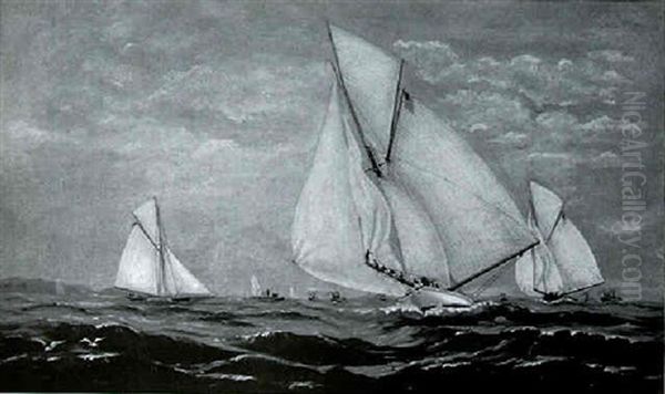 Racing Yachts - view 1