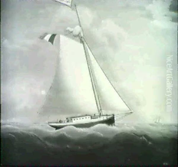 Elena Catalina - view 1