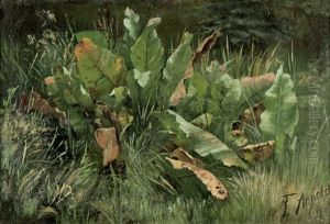 Wiesenstuck Mit Sauerampfer by Friedrich Arnold