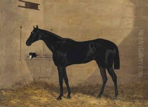 Cheval De Course Noir Et Chat Noir Et Blanc Dans Un Box by George Arnull