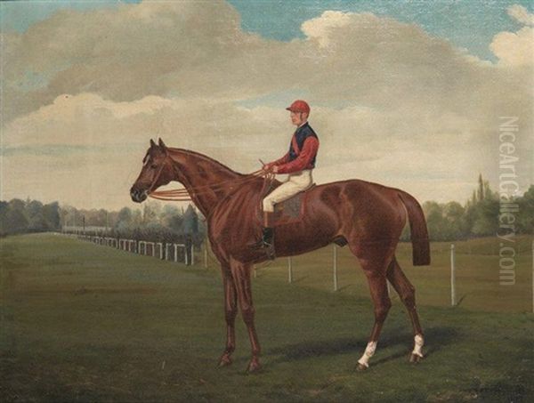 Le Crack Et Le Jockey Sur Le Champ De Course - view 1