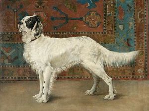 A Setter (study) by Toni Aron