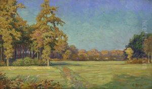 Herbstliche Wiesenlandschaft Mit Hausern Im Hintergrund