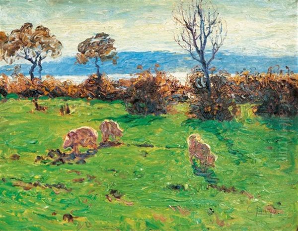 Sunlit Meadow - view 1