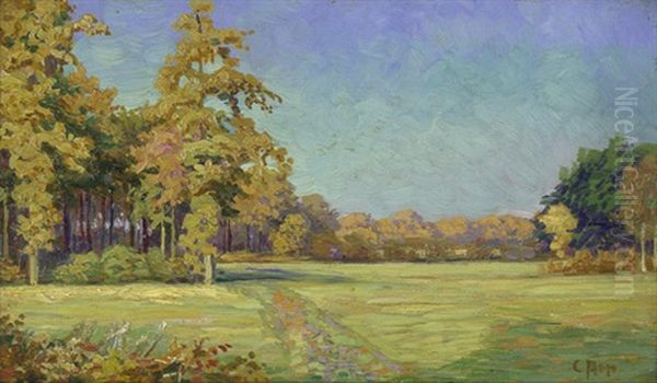 Spatsommerliche Wiesenlandschaft - view 1