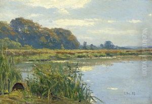 Sommerlandschaft