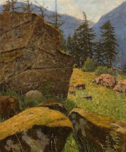 Bemooste Felsen