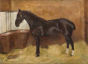 Stallinterior