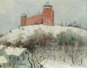Uppsala Slott I Sno