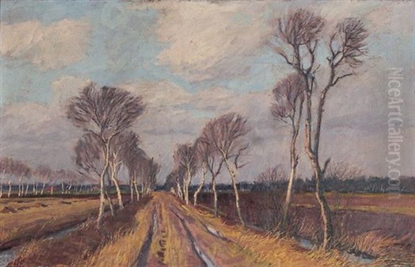 Birkenallee Im Moor - view 1