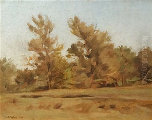 Forest Border - view 1