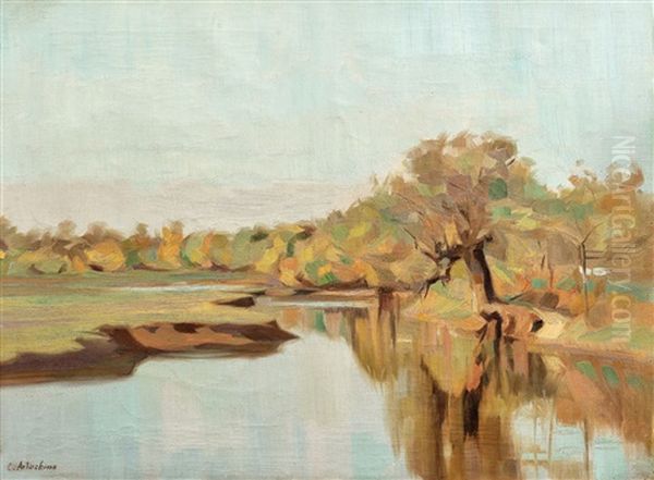 Peisaj Din Delta - view 1