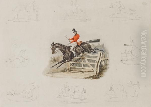 The Life And Death Of A Racehorse - view 1