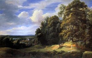 Laubwald Mit Ausblick Auf Eine Tiefe Landschaft