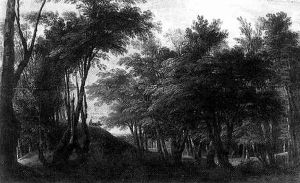 Paysage De Foret Dans La Campagne Flamande Paysage De Foret Dans La Campagne Flamande