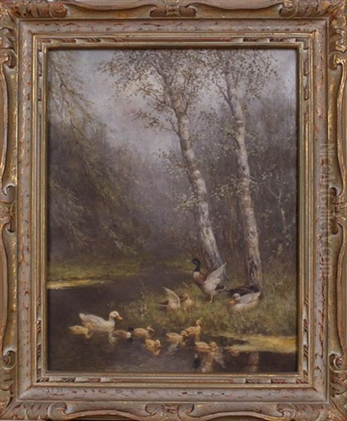Ducks In Stream - view 1