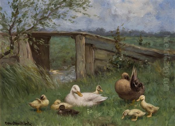 Ducklings Near The Water - view 1