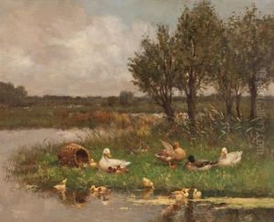 Ducklings At Play