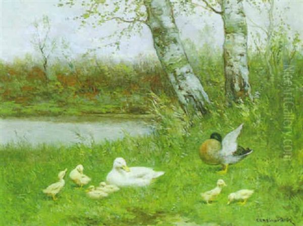 Entenfamilie Am Seeufer - view 1