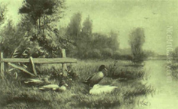Ducks On A River Bank - view 1