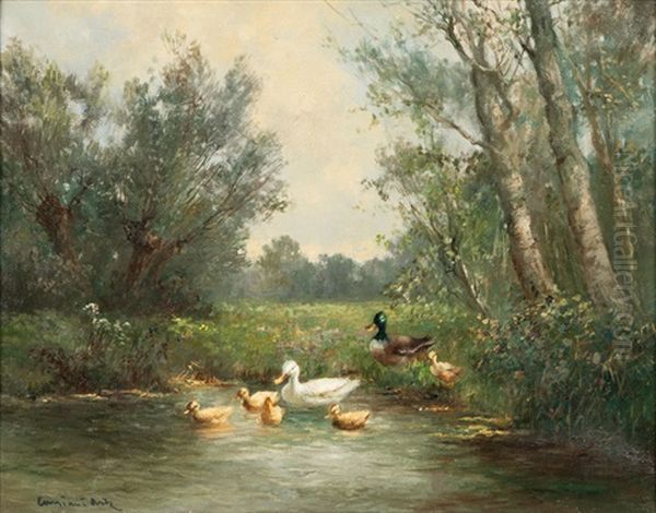 Entenfamilie Auf Dem Weg Ins Wasser - view 1