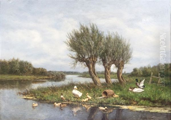 Weite Landschaft Mit Entenfamilie - view 1