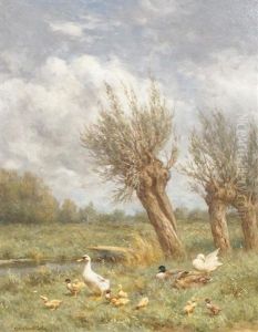 Eendjes by David Adolph Constant Artz