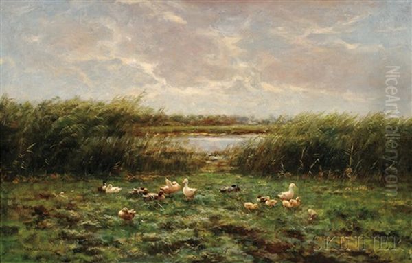 Ducks And Ducklings At The Water's Edge - view 1