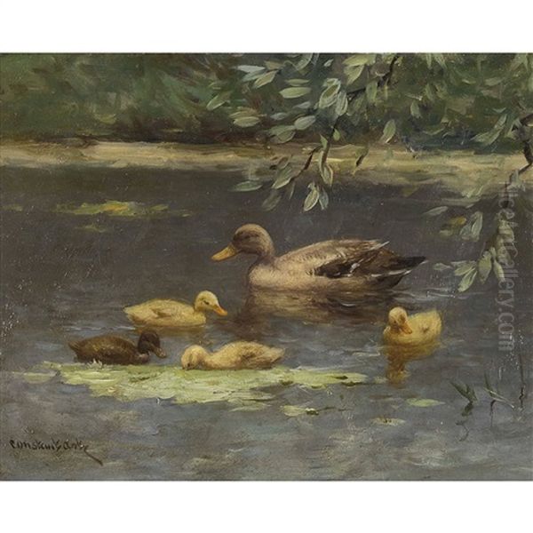 Enten Im Teich - view 1