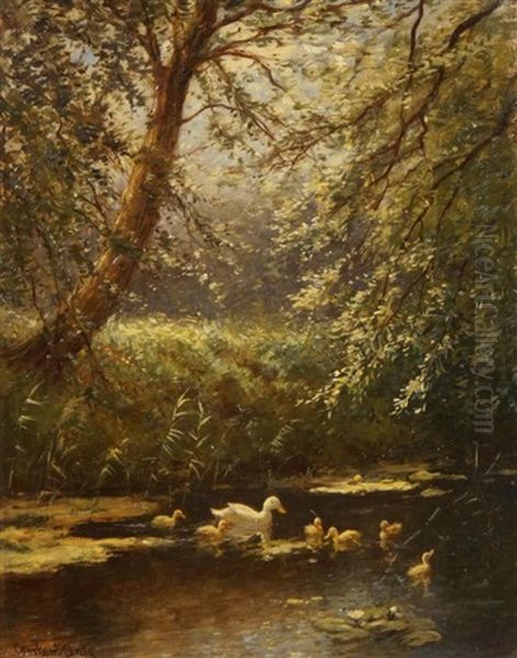 Duck Near A Pond - view 1
