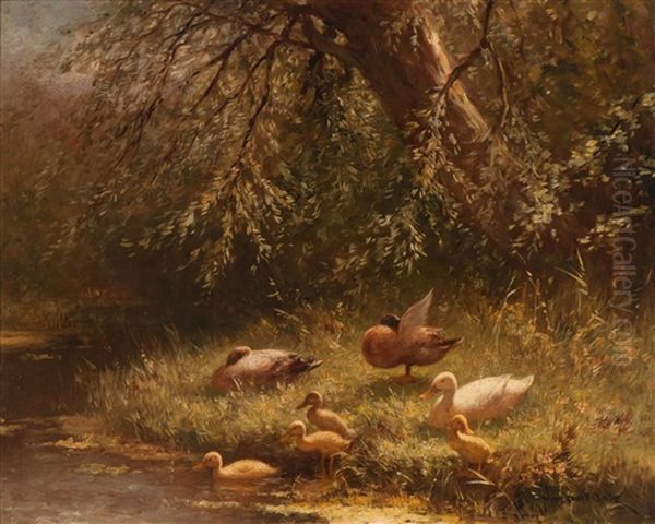 Family Of Ducks At The Water's Edge - view 1