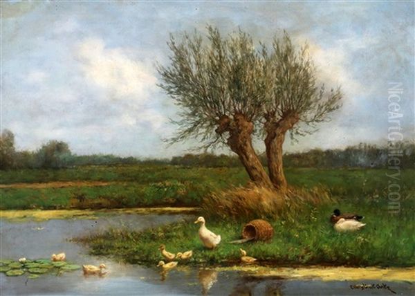 Polderlandschap Met Eenden - view 1