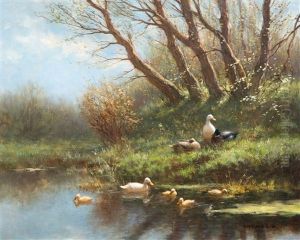 Eendenfamilie Aan De Slootkant Eendenfamilie Aan De Slootkant