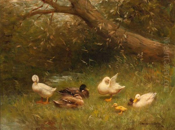 Family Of Ducks In The Grass - view 1