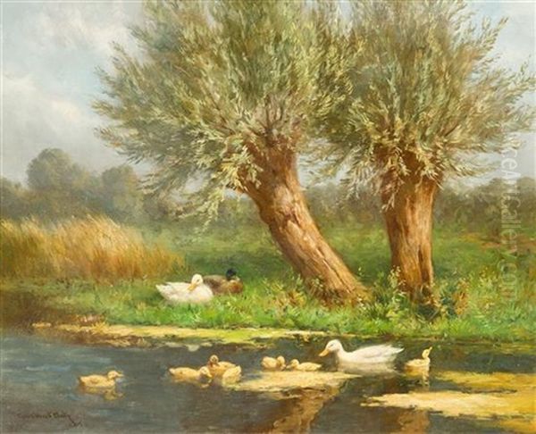 Ducks - view 1