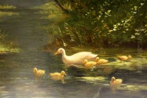 Eendjes Op Zwemles Rechtsonder Get