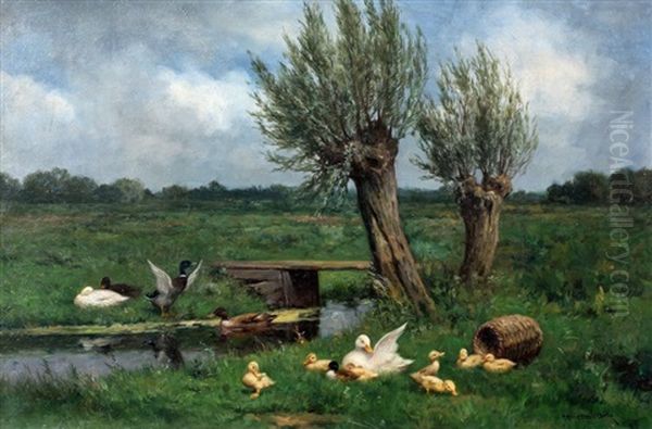 Eendenfamilie In Het Weiland - view 1