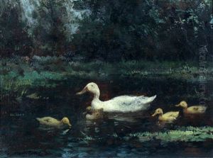 Eend Met Vier Kuikens