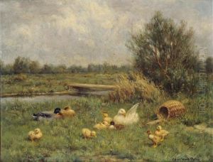 Ducks And Ducklings At Rest Beside A River In A Summer Landscape
