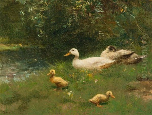 Family Of Ducks In The Grass - view 1