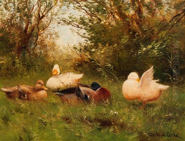 Family Of Ducks By The Water's Edge - view 1