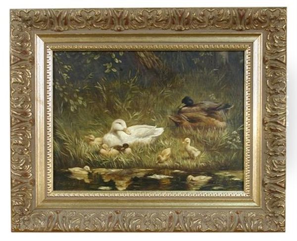 A Family Of Ducks On A River Bank - view 1