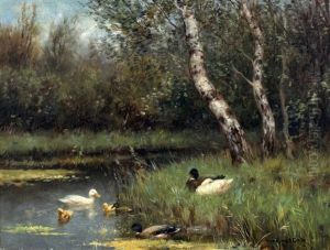 Eendenfamilie In De Slootkant