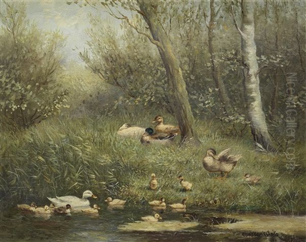 Ducks And Ducklings - view 1